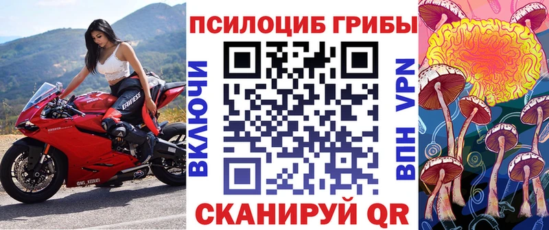 Галлюциногенные грибы GOLDEN TEACHER  Яхрома 